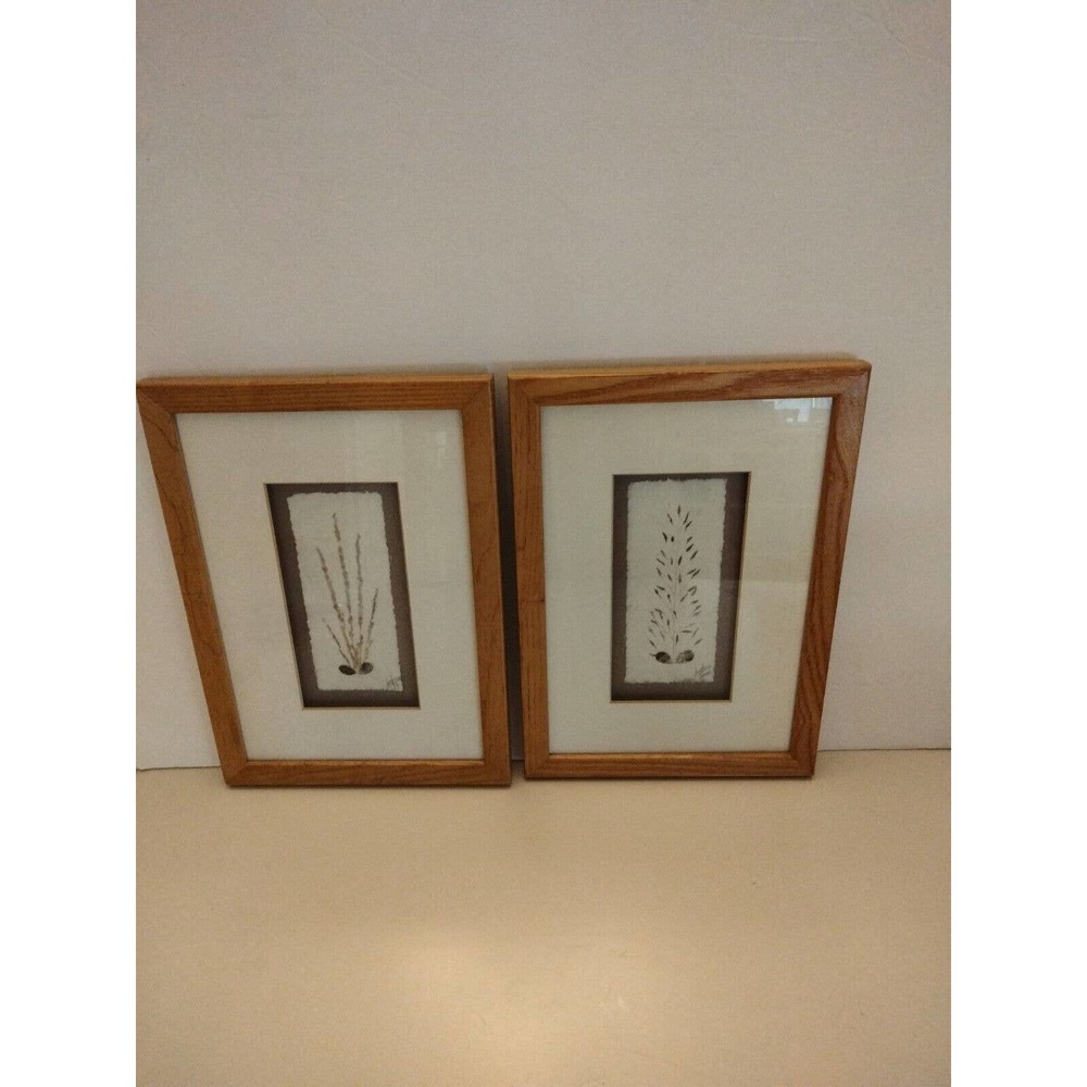 Madagascar Framed- Signed Dried Plant - Wall Art -Set 2- 12" tall